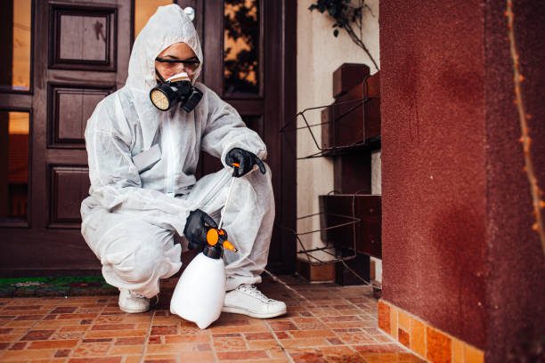 Reliable Wasp Removal contractor in Highlands, NJ by Show Me Pest Control
